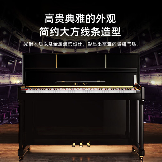 贝琪（Betsy）B338电钢琴88键重锤实木琴键专业成人家用儿童初学者立式电子钢琴 B338大立柜-烤漆黑-ABS键盘
