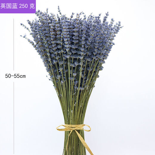 AIMAN dried lavender bouquet living room home decoration natural dried bouquet real flower aromatherapy internet celebrity flower arrangement ins gift 100g space blue dark blue new summer flowers all in English newspaper packaging