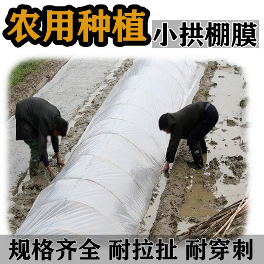Litian white plastic film, small shed film plastic, thermal insulation and moisturizing vegetable greenhouse film, mulching film, waterproof plastic film, 4 wires thick, 4 meters wide and 10 meters long