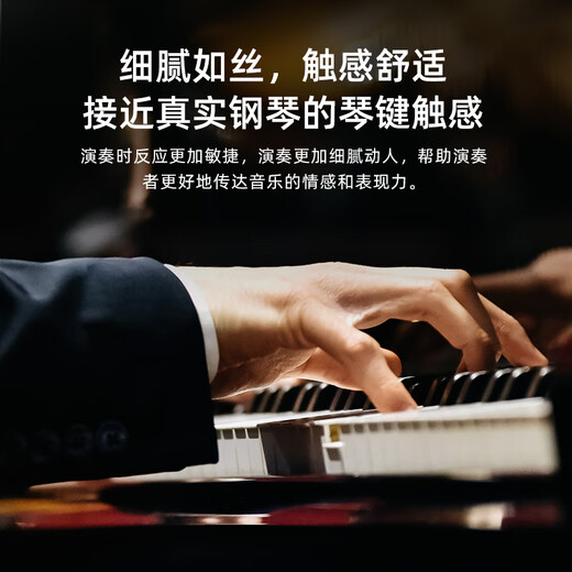 贝琪（Betsy）B338电钢琴88键重锤实木琴键专业成人家用儿童初学者立式电子钢琴 B338大立柜-烤漆黑-ABS键盘