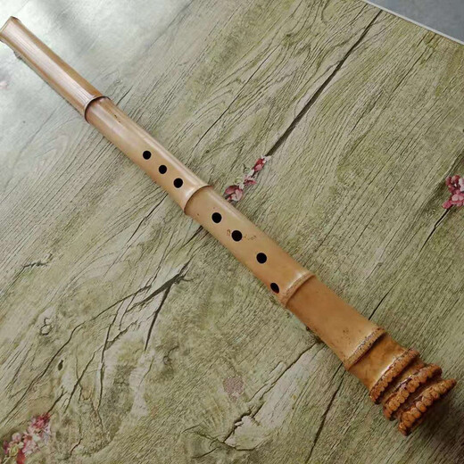 Jingyun Shahara Instruments de musique Shahara SHAHARA MATÉRIAUX DE MATÉRIAUX DE MATÉRIAUX À FIFFICATION À CINQ HAME AUTHAIS