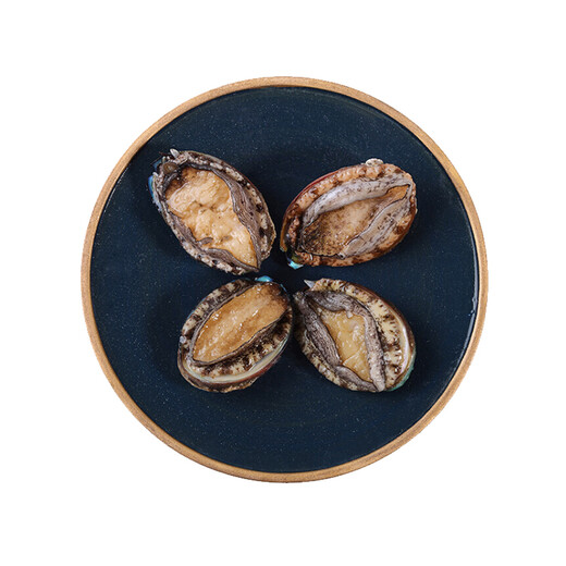 One piece of fresh small abalone (18-20 pieces/500g)