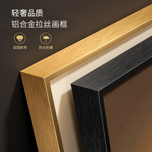 Ji Jian Ji modern light luxury living room decorative painting abstract texture sofa background wall combination hanging painting high-end mural
