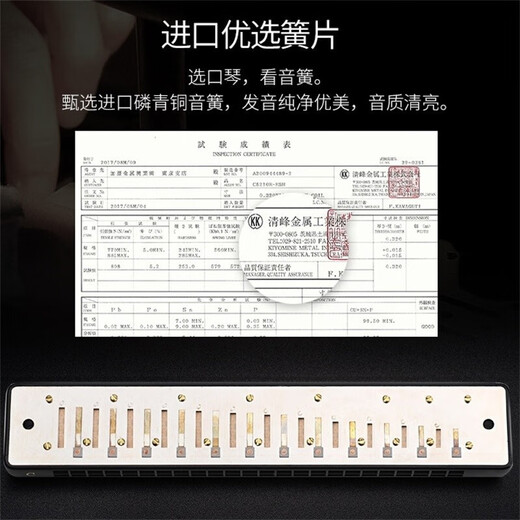 国光德国进口音簧24孔复音#A/B/C/D/F/G调重音成人初学专业演奏级口琴 24孔黑色复音#D调