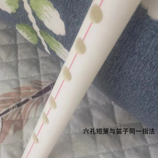 东茂初学迷你短箫迷你短箫初学自学零基础入门F调GCDE调水管萧六孔萧 水管短箫f调迷你短箫30c·m