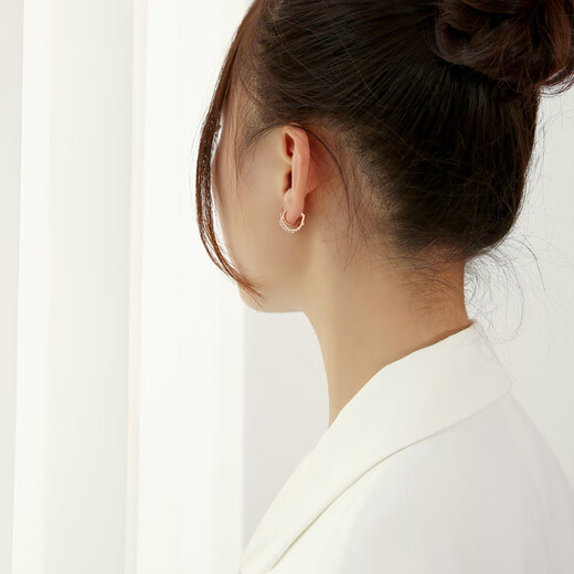 DL 1998 Fat Donglai same style 18k rose gold stud earrings 2025 new trendy temperament Korean three rows of diamonds pentagonal * rose gold ear buckle style