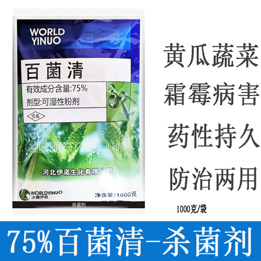 Wardino 75% chlorothalonil fungicide blue powder cucumber vegetable fruit tree powdery mildew downy mildew chlorothalon pesticide fungicide