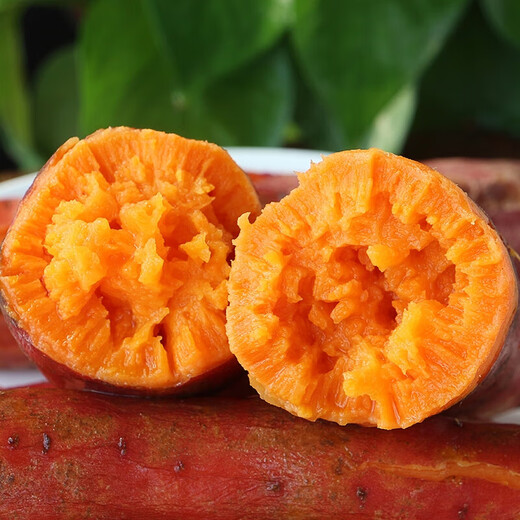 Honey sweet potato, sandy sweet potato, sweet potato, sweet potato and sweet potato. Seasonal fresh vegetables are shipped directly from the place of production. Fresh sweet potato 5Jin Jin is equal to 0.5kg. Net weight (single fruit 150g+