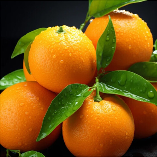 京喜加脐橙新鲜黄肉橙果园直采橙子 带箱1斤60-65mm