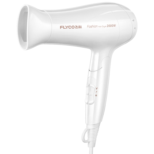 Séchante de cheveux Flyco Home High Power Hair Dryer Voyage Portable Hair Dryer Drive Hot and Cold Air Barber Pliage Fh6232 FH6232 White [2000W pliable]