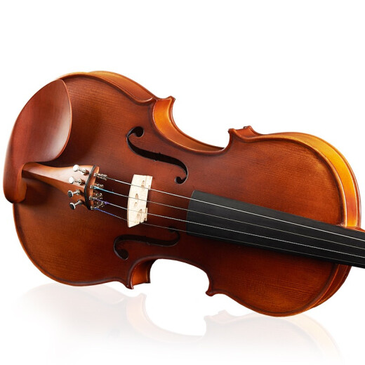 FINELEGENDO Violín hecho a mano Adulto Introductory Introductory Premio de examen de grado para 5 años Secado natural Panel de clase A Matte L4 1/4