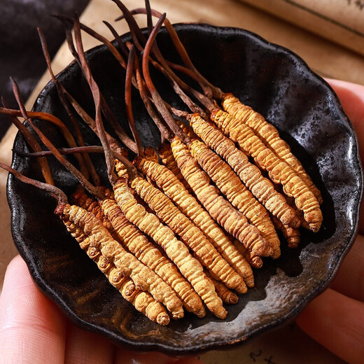半山农 冬虫夏草3-4条/克 1克 送父母长辈老人虫草滋补营养品滋补营养品