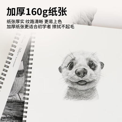 国誉(KOKUYO)Campus双螺旋图画本8K素描本 40页/本 WCN-CSKD1342