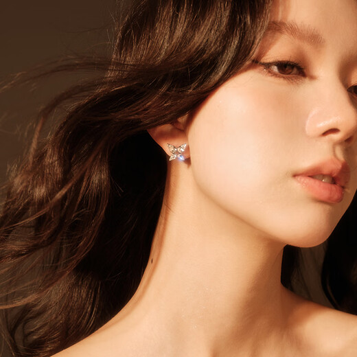 Abyb charming gift box, earrings, simple temperament, butterfly light luxury niche exquisite earrings, birthday gift for girlfriend, earrings, exclusive gift box