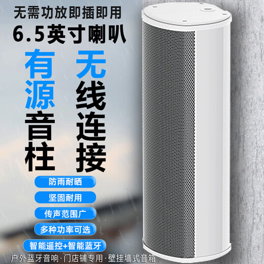 
Xianke (SAST) 60W outdoor waterproof sound column 5.5-inch outdoor wall-mounted audio amplifier speaker set speaker school playground conference broadcast shop music