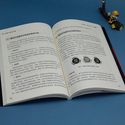 【京东仓直发-送货上门】企业数字化转型全攻略9787302**7027