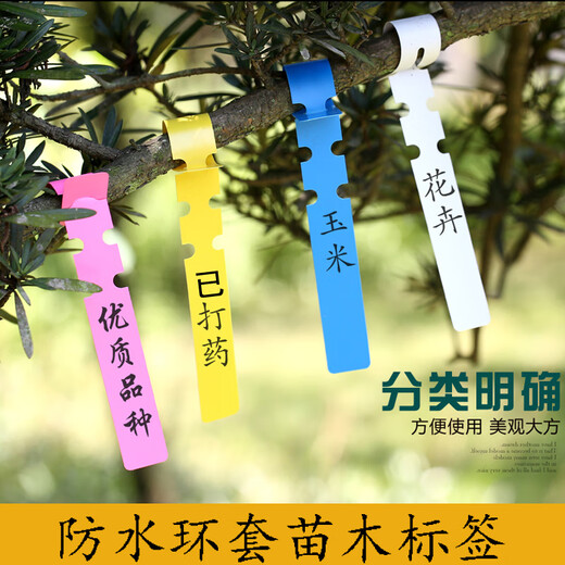 Shipton PVC waterproof ring set flower plant label seedling gardening label plastic orchid label ring buckle tag ring set - blue (100 photos)
