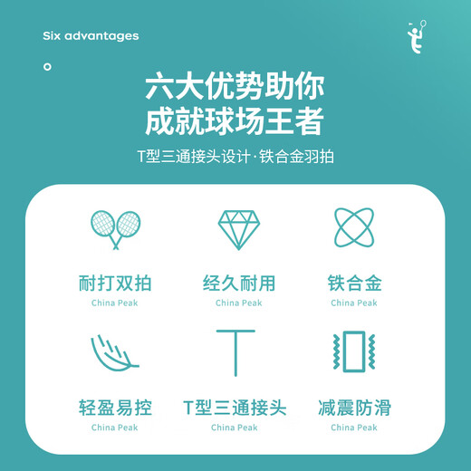 匹克 羽毛球拍对拍耐打成人学生套装训练比赛拍FT-J88 天堂粉/天使蓝