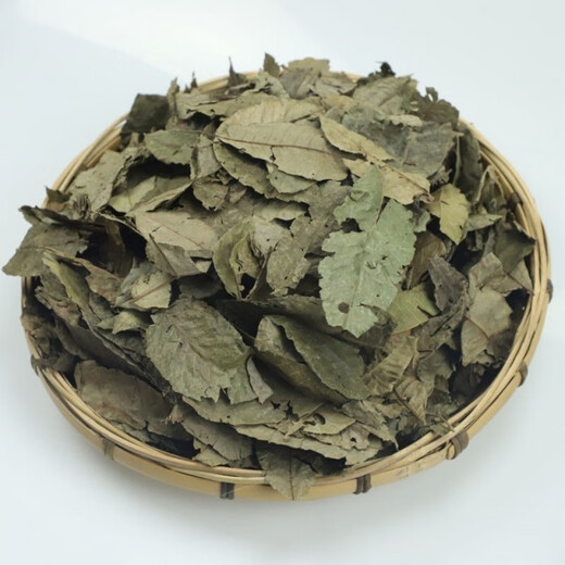 北京同仁堂青钱柳原叶茶江西野生古树原叶成叶茶正品金钱柳养生茶清钱柳无糖内廷上用 原叶青钱柳 5克