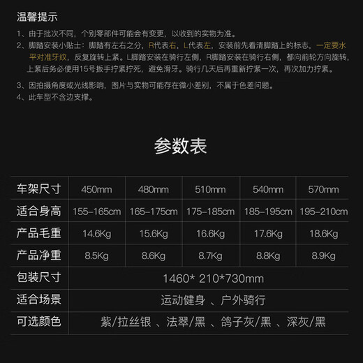 喜德盛公路自行车24款AD500电子变速碳纤维前叉油刹成人骑行健身单车 鸽子灰/黑 24速 510mm