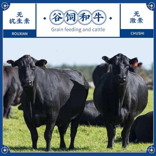 肉鲜厨师 和牛M5谷饲原切牛肉片净重2斤(250g*4) 澳洲肥牛雪花