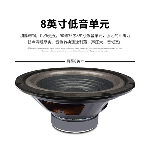 狮乐（SHILE）会议室音响组合套装 蓝牙功放壁挂音箱无线话筒培训教室背景音乐扩声系统设备 AV108+108黑*4+SH10
