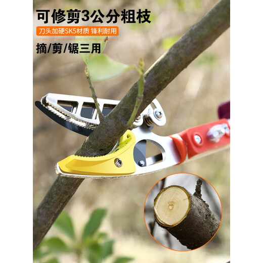Germany Yinlong Island fruit picking lychee and bayberry fruit picking artifact fruit tree scissors high-altitude telescopic multi-functional fruit picker high branch shears thickened aluminum alloy 1.3-2.3 meters telescopic large blade model comes standard