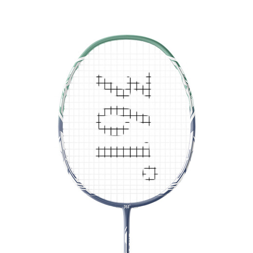 361°羽毛球拍双拍碳铝一体对拍训练比赛成人大学生超轻耐打