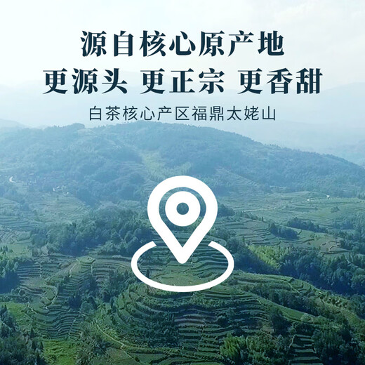 Fragrant Bama Tea Fuding White Tea Longeving Eyebrows Fujian Pressed White Tea Cake Gift Box 357g Mid-Autumn Festival Gift Bag Fuding White Tea Longeving Eyebrows Gift Box 357g Fragrant Bama Tea Fuding White Tea Longeving Eyebrows Fujian Pressed White Tea Cake Gift Box 357g Mid-Autumn Festival Gift Bag Fuding White Tea Longeving Eyebrows Gift Box 357g