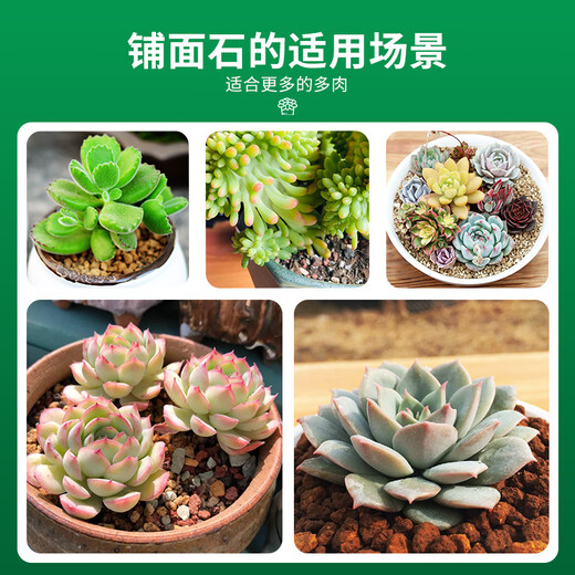 Devodo Kiryu sand 2.5kg (3-6mm) flower pot bottom mixed with soil backfill water-retaining breathable hydroponic soilless cultivation matrix