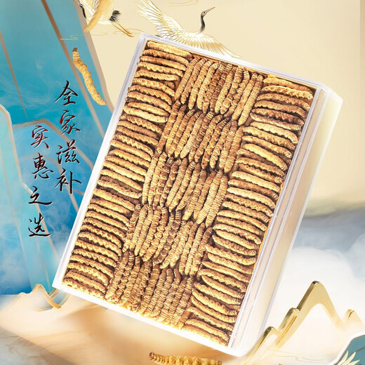 Sandy Konzang Cordyceps Cordyceps Ausgewählte Qualität Cordyceps Cordyceps Ess erschwinglich für Familiengeschenke Ganzes Pure Meat Festival 50g Pack