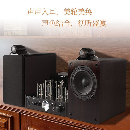 HAOYUN [Sales First Electronic Tube Balance Machine] Haoyun 2030 Electronic Tube Balance Machine Amplificateur Fièvre Fièvre Amplificateur de haute puissance Prise en charge All-in-One AV-2030R Black (Edition Standard)