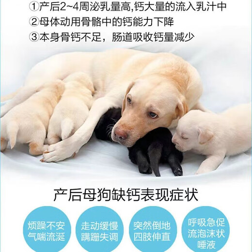 Postpartum nutritional supplements for female dogs, pregnant dogs, dog mothers, pregnant Teddy confinement, lactation, calcium supplement goat milk powder during pregnancy and lactation, goat milk powder for dog postpartum recovery, two cans