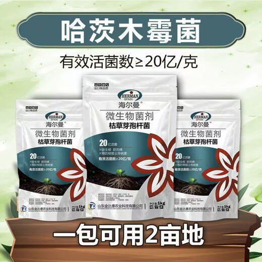 Guanlong Agricultural Chemical Bacillus subtilis compound microbial agent to prevent and control bacterial wilt, root rot, ginger plague and root rot 1000g*3 bags