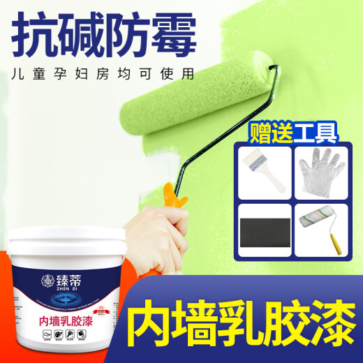 Zhendi interior wall paint color latex paint wall interior paint self-painting paint renovation interior wall paint wall white white 1kg