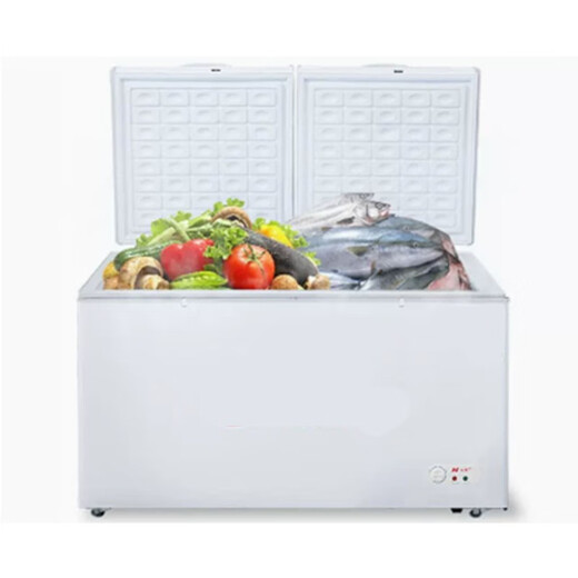 Lechenxin BD/BG-1000 Freezer Commercial Large Capacity Refrigerator Freezer Single Temperature Horizontal Capacity 1000L