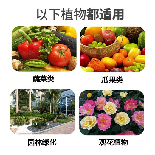 SACF flower fertilizer for household potted plants general organic nitrogen, phosphorus and potassium chemical fertilizer compound fertilizer succulent rose 12-18-15 fertilizer 12-18-15 compound fertilizer * 80 Jin Jin equals 0.5 kg whole bag