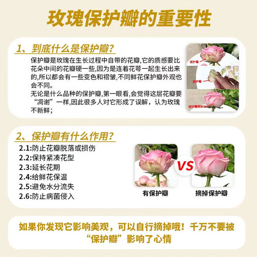 Yunnan flowers wholesale quality rose lily water fresh cut flowers for girlfriend birthday gift source straight hair crushed ice blue (spray color) - 10 pieces, choose 2 pieces, no shipping fee