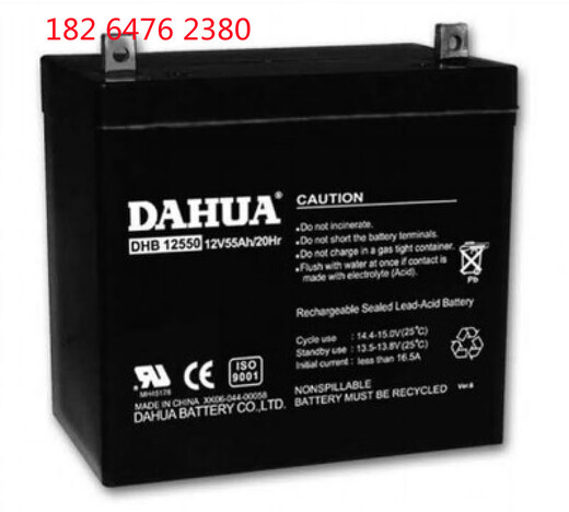 纪俪田适用于蓄电池DHB12210 12V21AH消防通讯UPS 电源监控门禁 照明