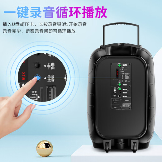 Sony Ericsson (soaiy) SA-X81 square dance high-power subwoofer outdoor karaoke electric guitar instrument speaker Bluetooth pull rod microphone amplifier microphone stall stall speaker 12 inches