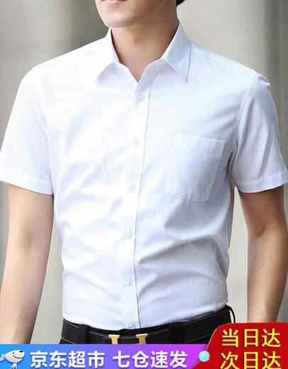 Zomes Camisa de manga corta Fit de hombre Slim Fit Anti-Wrinking Seda Summer White White White White Professional de manga corta Camisa de gran tamaño Men DX2655 Pure White 40 /XL (130-140Jin [Jin equivale a 0.5 kg])