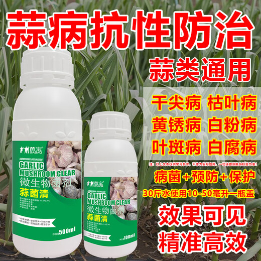 Garlic Bacteria Extract Original Liquid Garlic Special Medicine Dry Tip Yellow Leaf Root Rot Leaf Blight Rust Purple Spot Sterilizing Garlic Bacteria Clear 100ml 1 Bottle