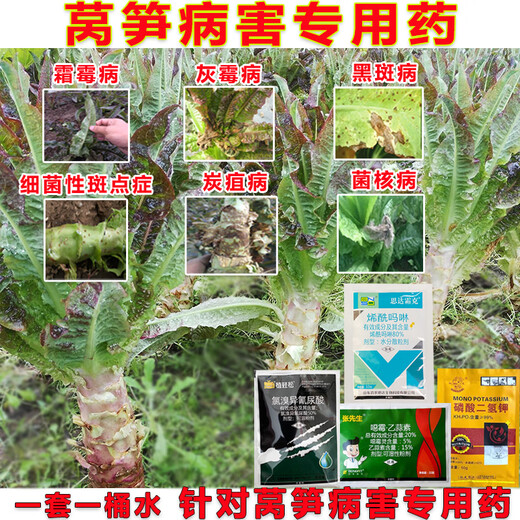Special medicine for lettuce, special fungicide for lettuce disease, downy mildew, soft rot, gray mold, sclerotinia, brown spot, package one 102g