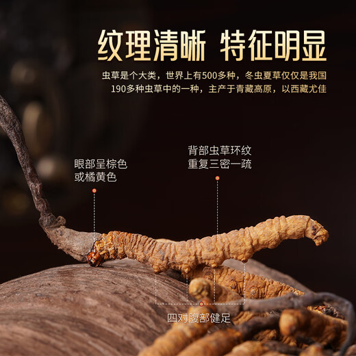 
Hu Qingyutang Cordyceps sinensis 4.6 roots/g 5g Zhahua acrylic box about 21-23 roots Tibet Cordyceps sinensis 46