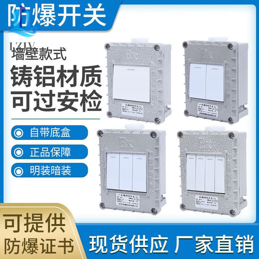 Explosion-proof wall switch Explosion-proof lighting switch SW-10 waterproof and dustproof wall switch 86 type 220V 380V Explosion-proof lighting switch 220V regular model