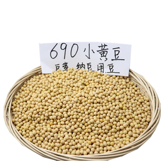 2024 Neues Getreide Nicht-GMO Extrem Small Grain 690 Sojabohnen Rohbean-Sprout Natto Special Small Golden Sojabohnenmilch 5 Jin [Jin gleich 0,5 kg]