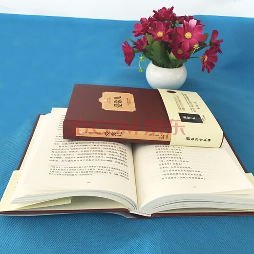 Bookstore Xinhua Aviation Rousseau, Hardcover, 2 Volumes on Education, Centennial Western Academic Sutra, Rousseau's Discussion on Bourgeois Education, World Literature Classics, SN3893