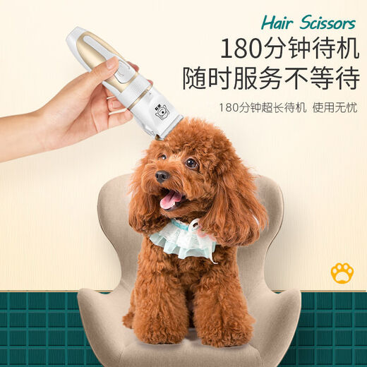 Ant Dog Shaver, Pet Electric Clipper, Cat Teddy Dog Hair Clipper, Foot Hair Clipper, Complete Supplies (Silent and No Hair Stuck), Pearl White (Preferred Set)