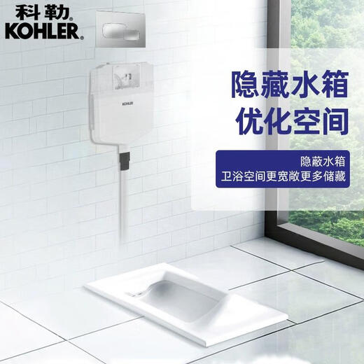 Hocktoilette Flush Tank Toilettenkniebeuge Pitsart Keramik Haushalt versteckte Kniebeuge Toilette Anti-Odor-Tunger 20443t [Kaliming Single Water Tank] 11978t