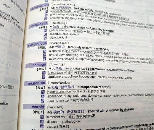 Neue orientalische GRE-Kernvokabular-Mnemonik und Verfeinerung + GRE-Kernvokabular-Testmethodenanalyse, 2. Auflage Chen Qi Ich werde dich 3000 weitere töten. Ich werde dich 3000 weitere GRE-Kernvokabular-Mnemoniken töten. GRE-Vokabular-Wortbuch